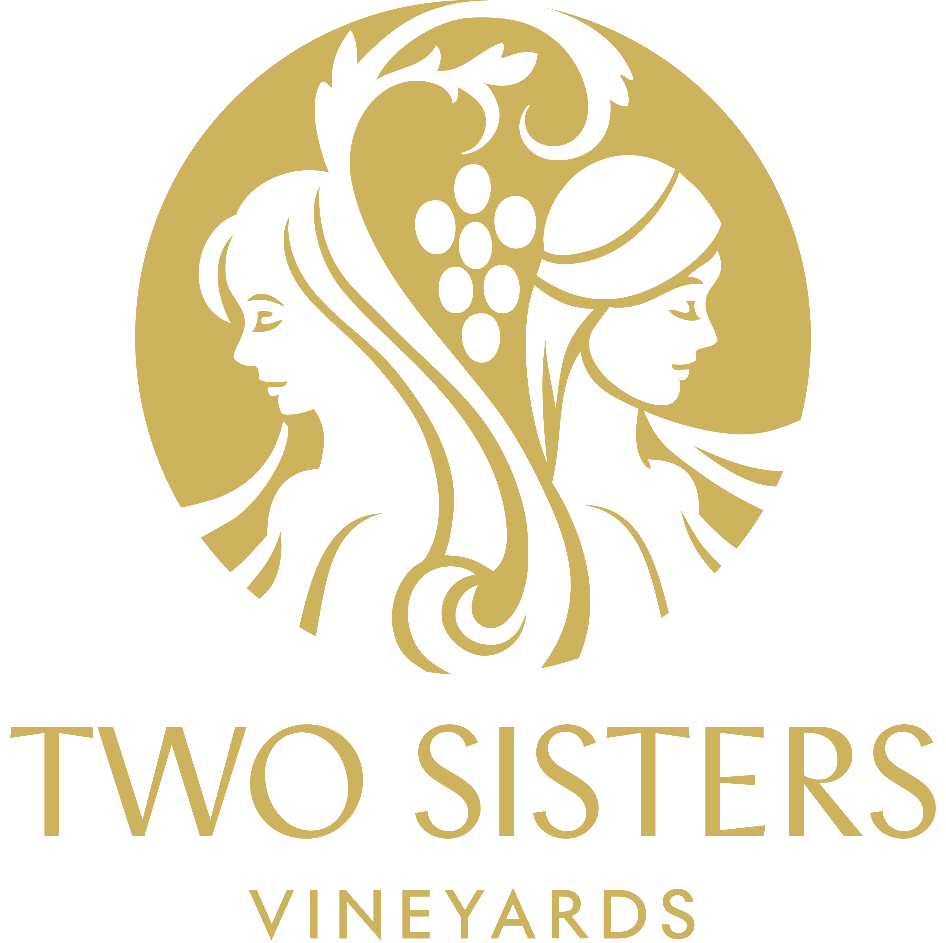 Two Sisters Vineyards Corp.